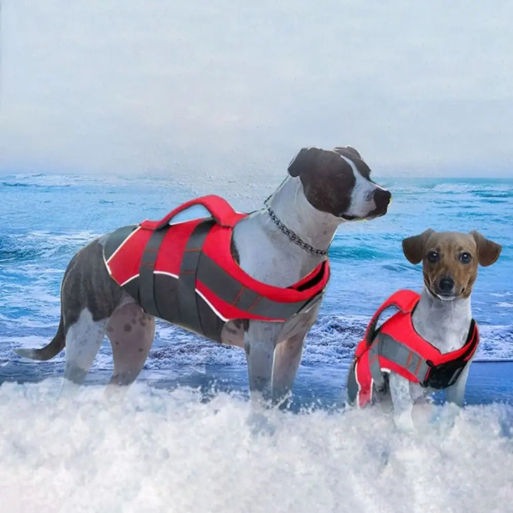 Adventure-Ready Dog Life Jacket