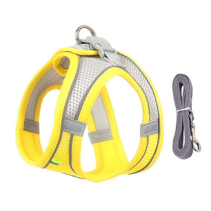 Reflective Harness & Leash Set for Small Dogs