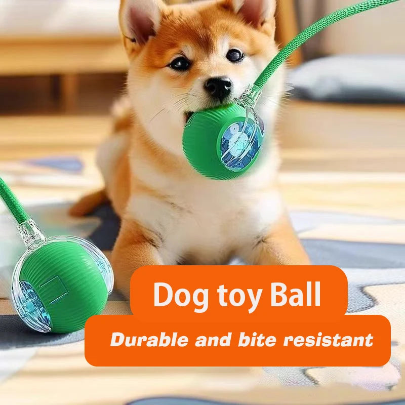 Smart Interactive Rolling Ball Toy for Dogs