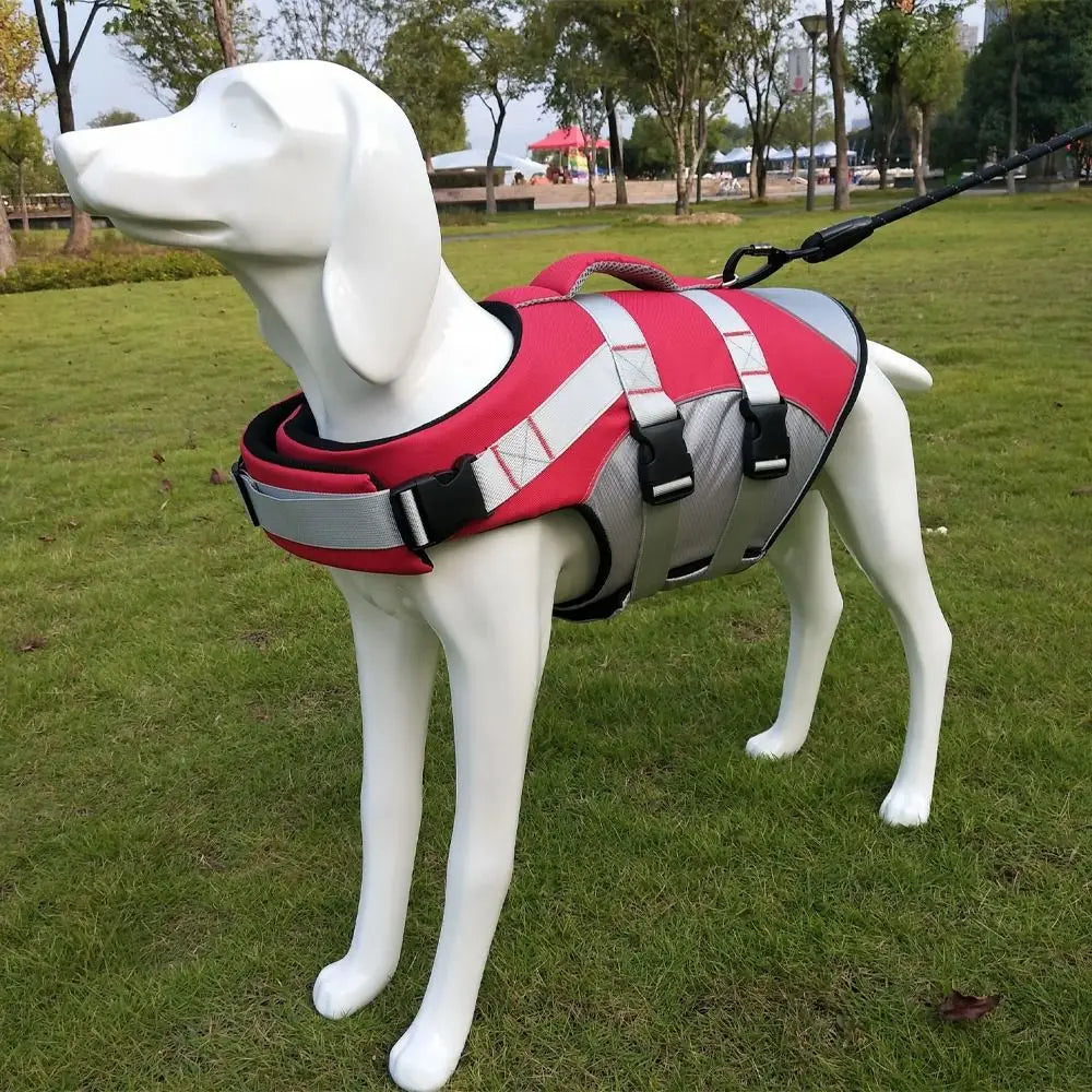 Adventure-Ready Dog Life Jacket