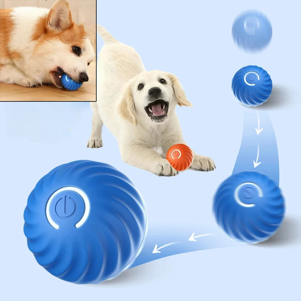 Automatic Moving & Bouncing Ball Dog Toy