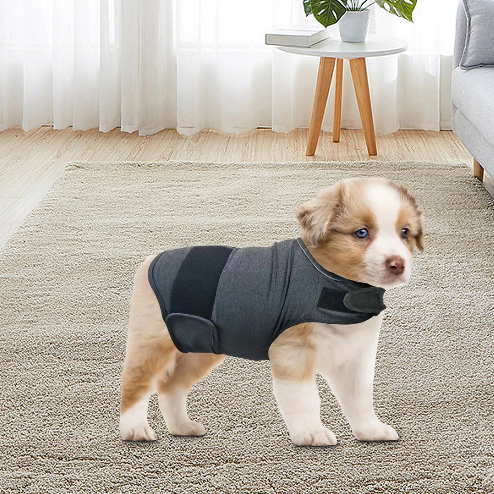 Calming Comfort Vest for Dogs