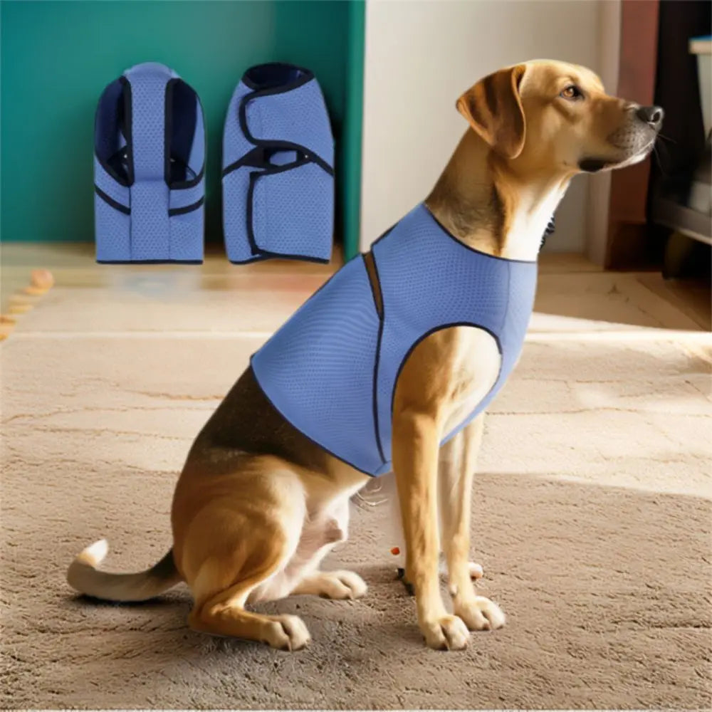 Snug & Secure Dog Anxiety Vest