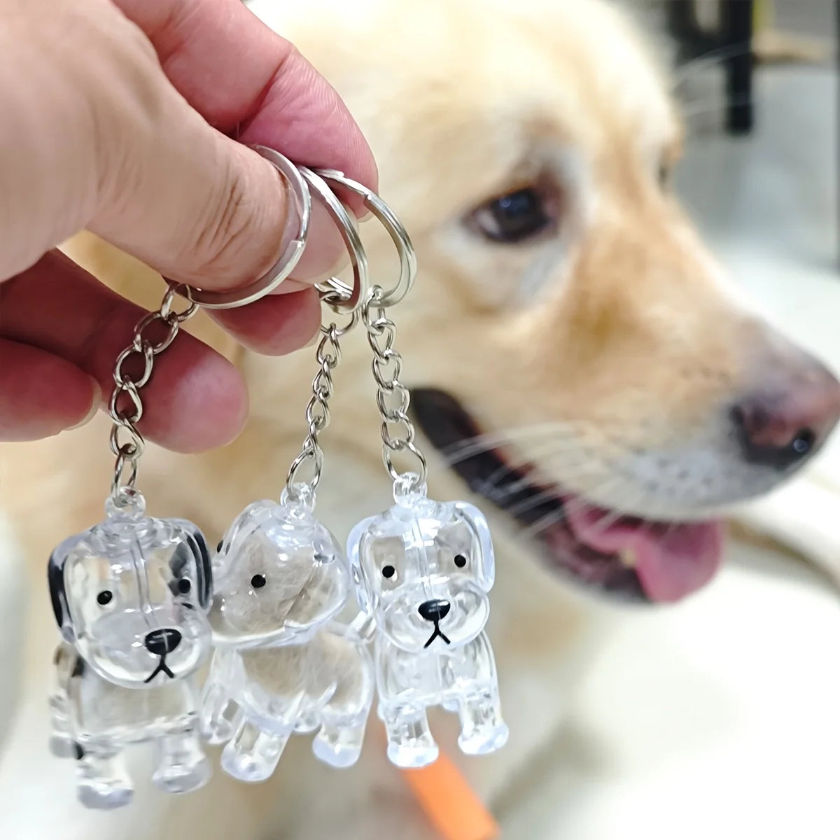 Pet Memorial Keychain To Remember Your Beloved Pet Forever