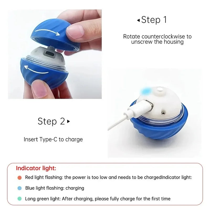 Automatic Moving & Bouncing Ball Dog Toy