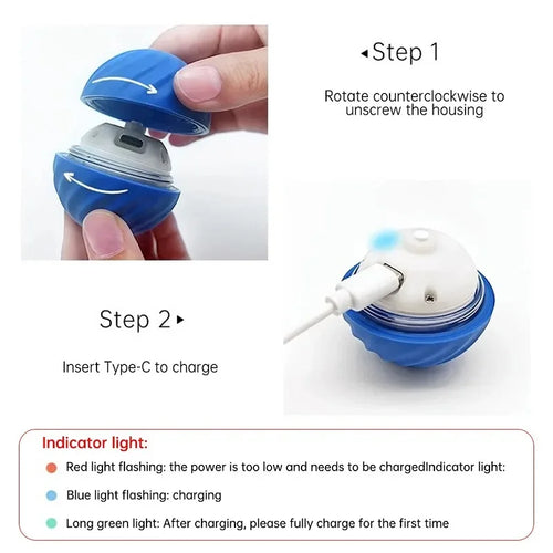 Automatic Moving & Bouncing Ball Dog Toy