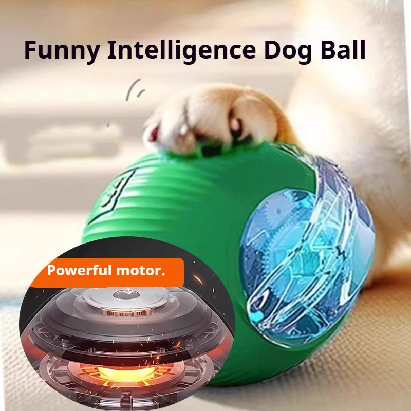 Smart Interactive Rolling Ball Toy for Dogs