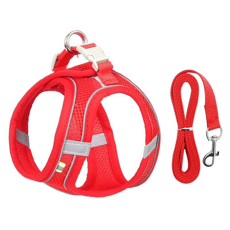 Reflective Harness & Leash Set for Small Dogs