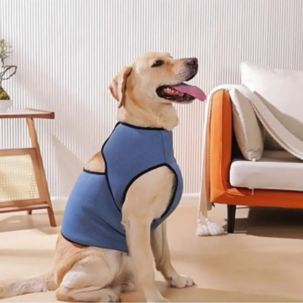 Snug & Secure Dog Anxiety Vest