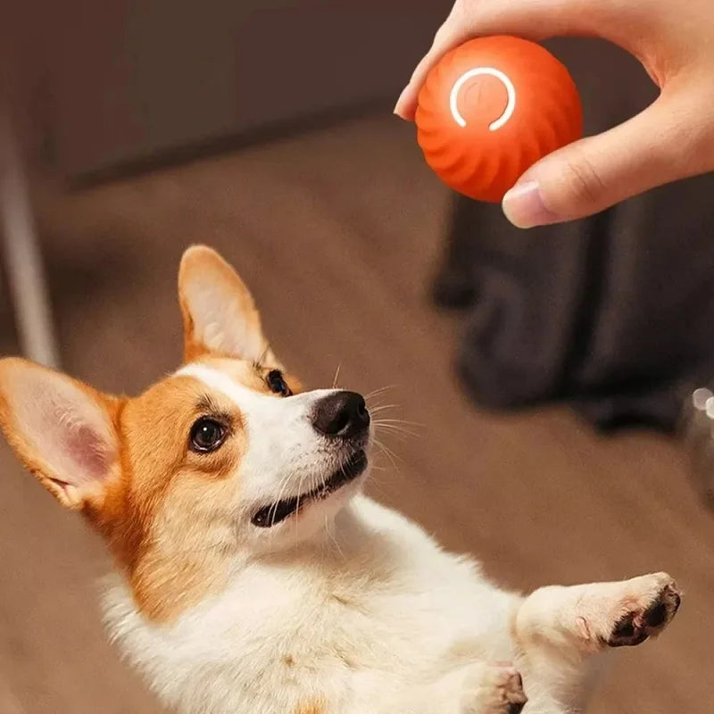 Automatic Moving & Bouncing Ball Dog Toy