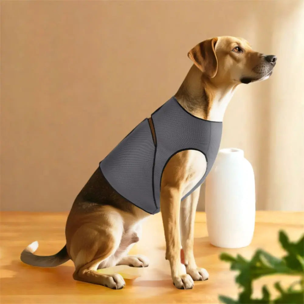 Snug & Secure Dog Anxiety Vest