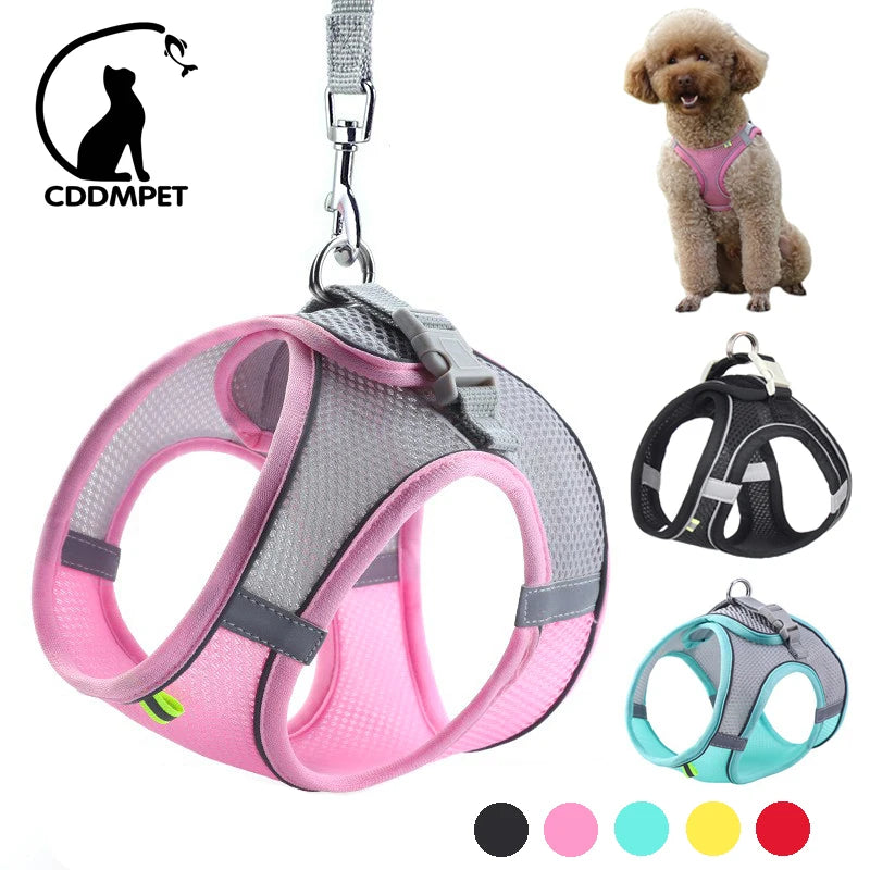 Reflective Harness & Leash Set for Small Dogs