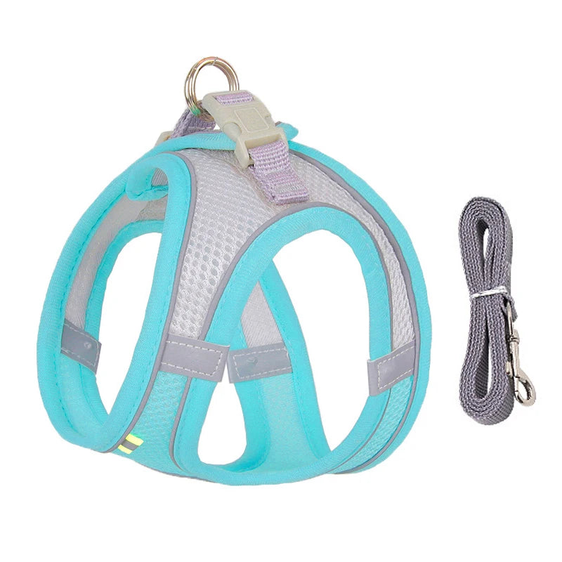 Reflective Harness & Leash Set for Small Dogs