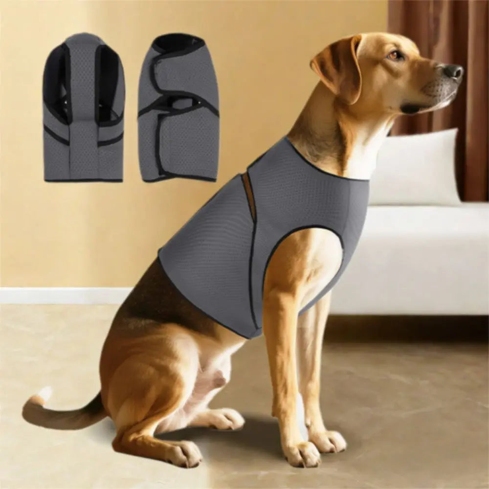 Snug & Secure Dog Anxiety Vest
